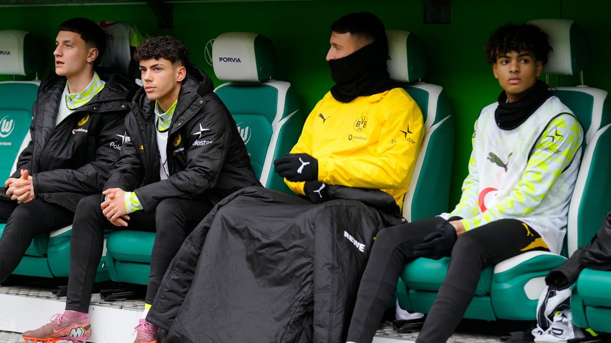 Beispiel-Reggiani-BVB-Turnaround-tr-gt-erste-Fr-chte