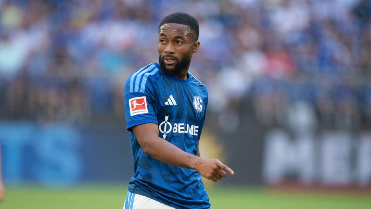 Transfer-News