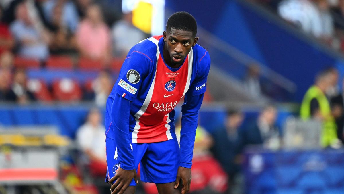 Transfer-News
