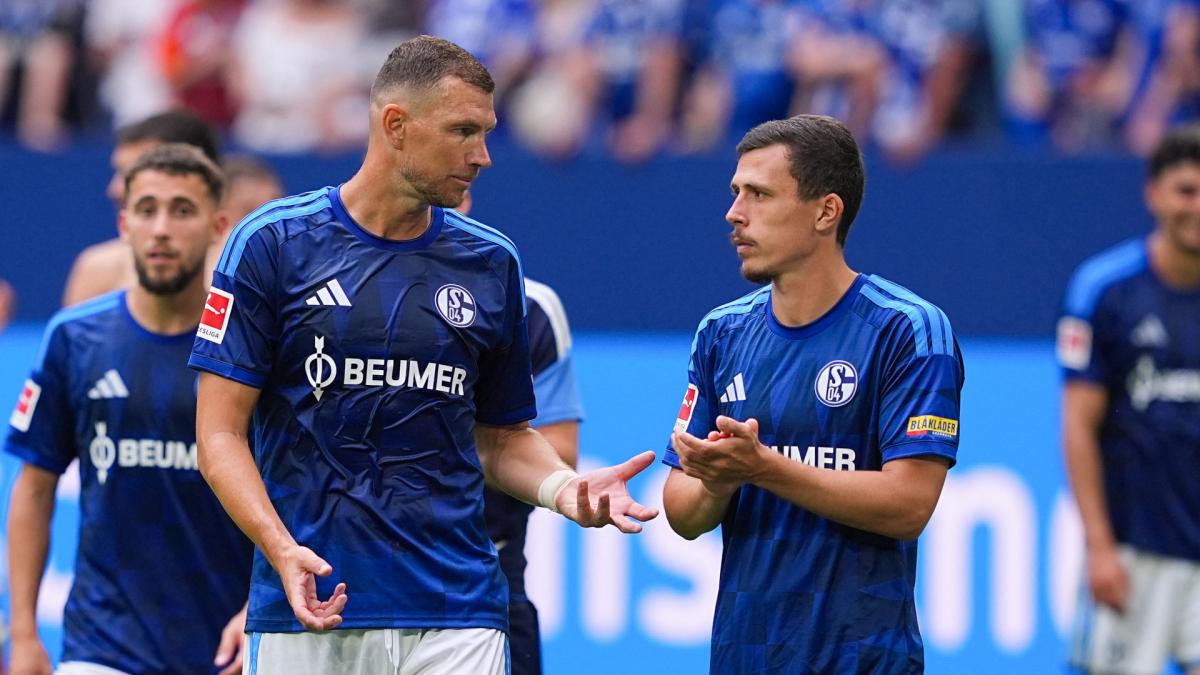 Letzten Transfer-News