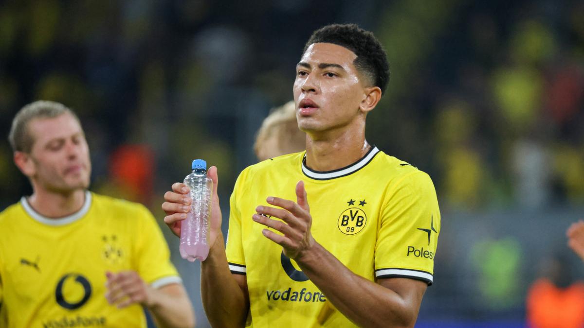 Transfer-News