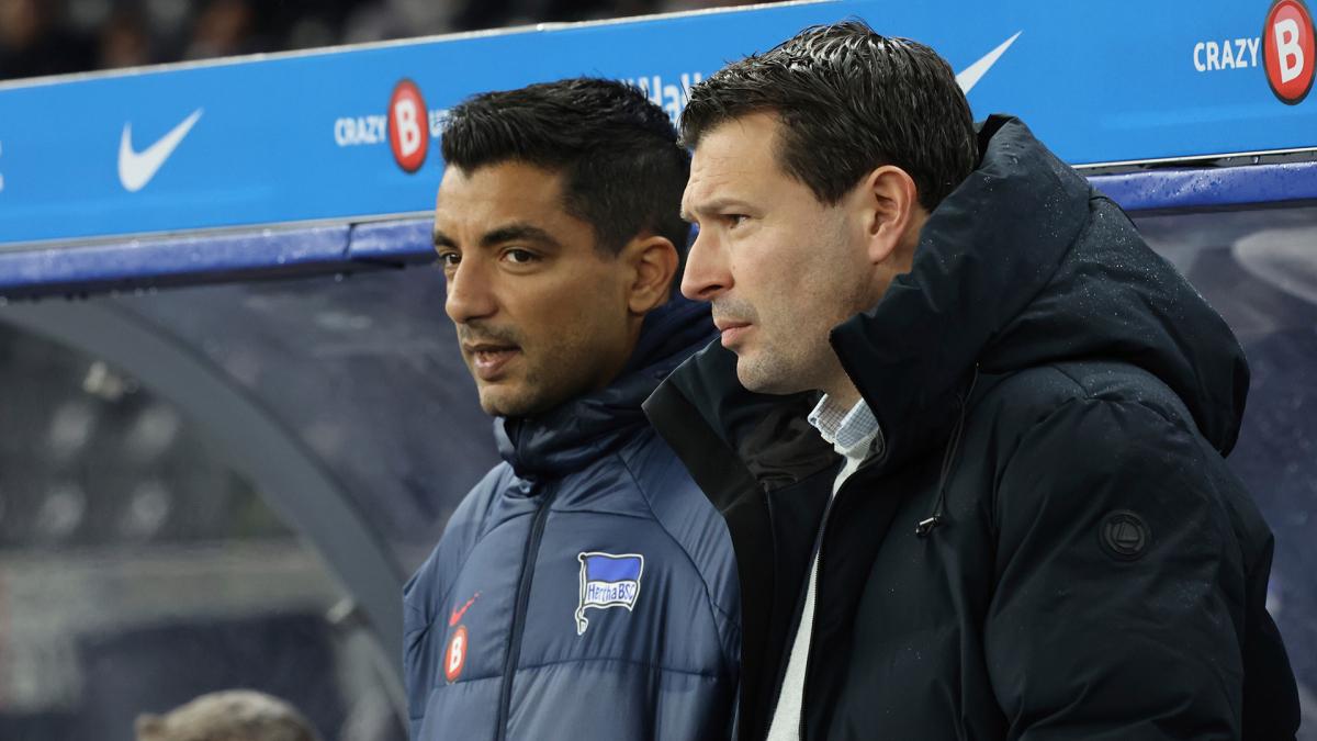Transfer-News