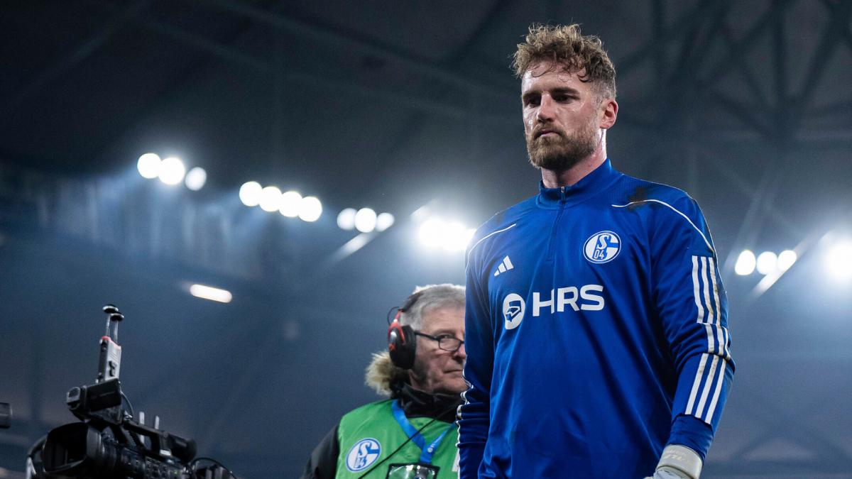 Letzte Transfernews FC Schalke 04