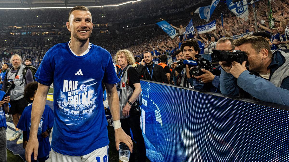 Transfer-News FC Schalke 04