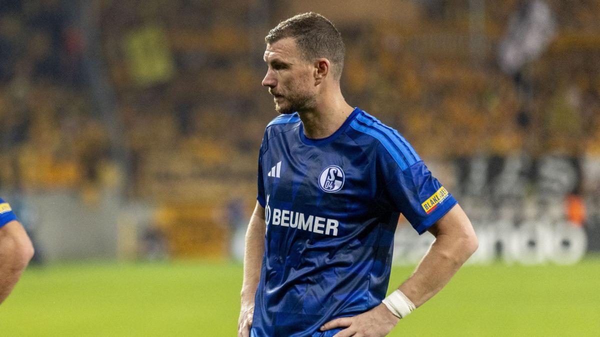 Transfer-News