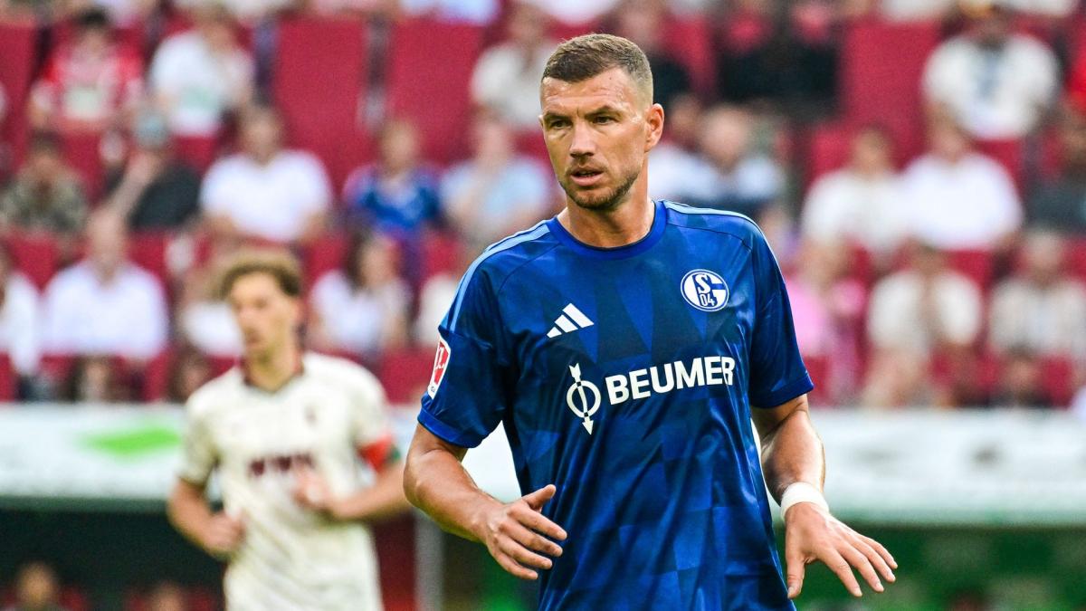 Transfer-News