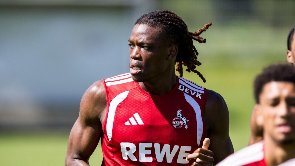 Transfer-News