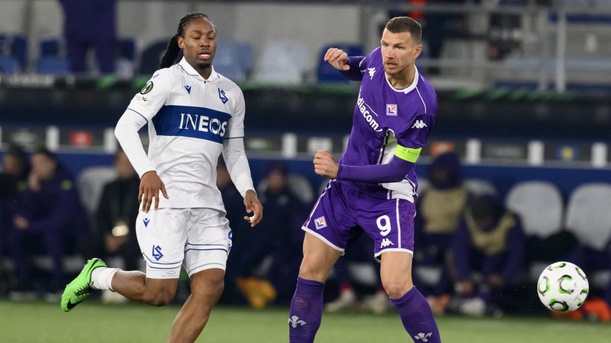 Dzekos-Gr-nde-f-r-Schalke