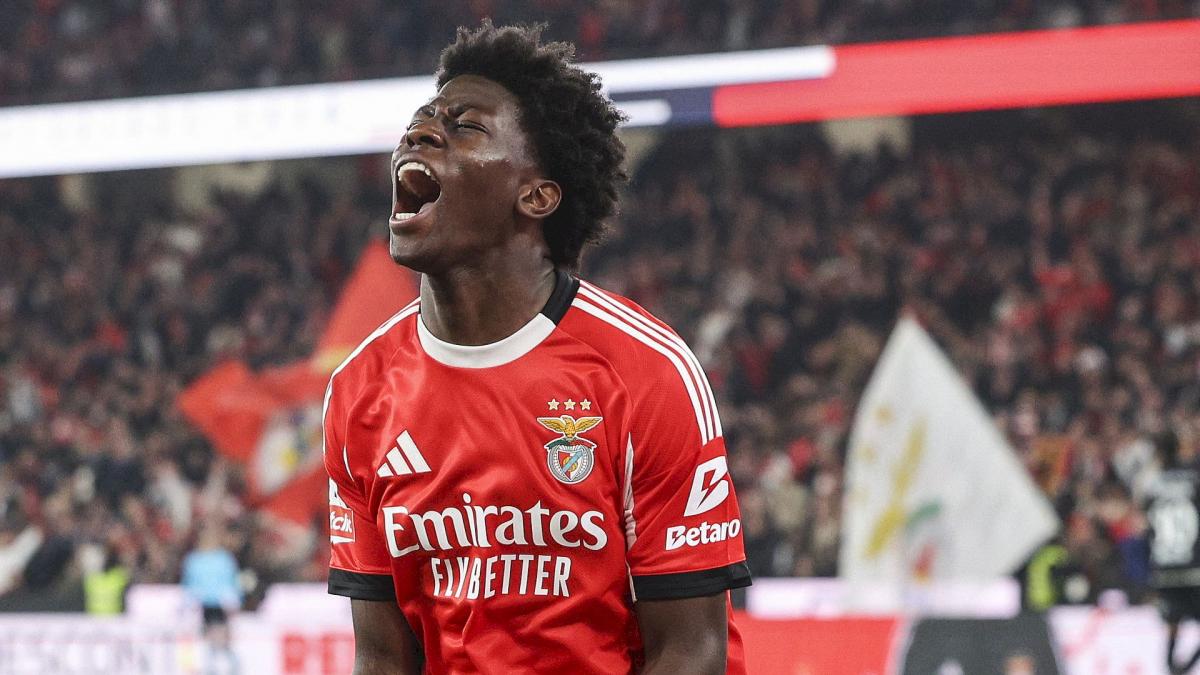 Transfer-News