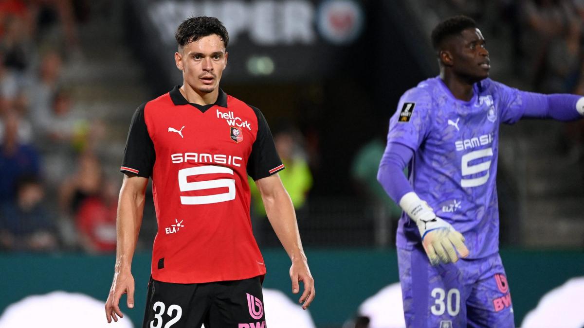 Letzte Transfernews Stuttgart