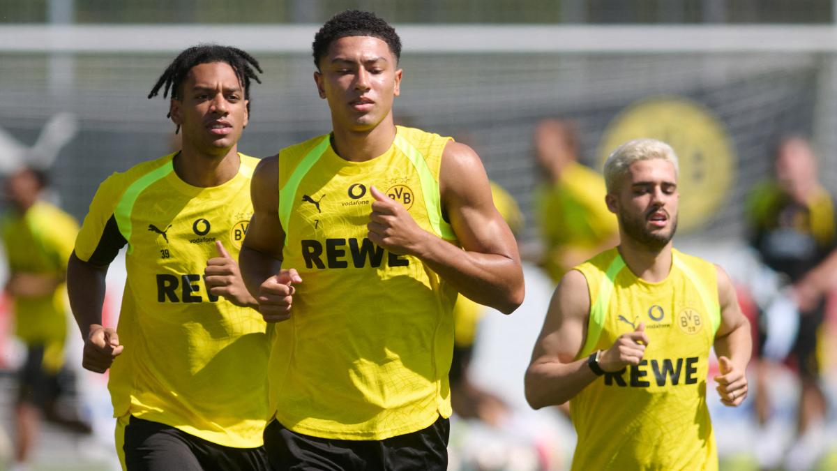 Transfer-News Borussia Dortmund