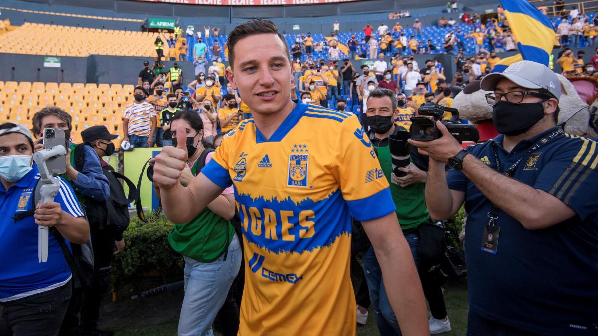 Letzte Transfernews Udinese