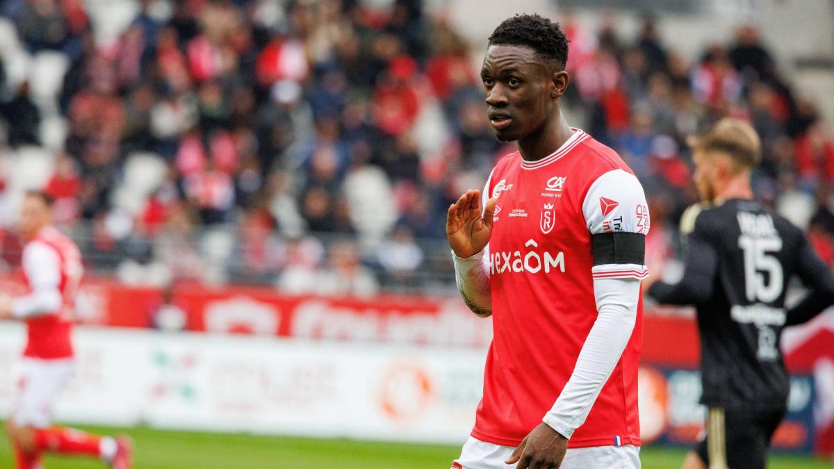 Letzte Transfernews Lille