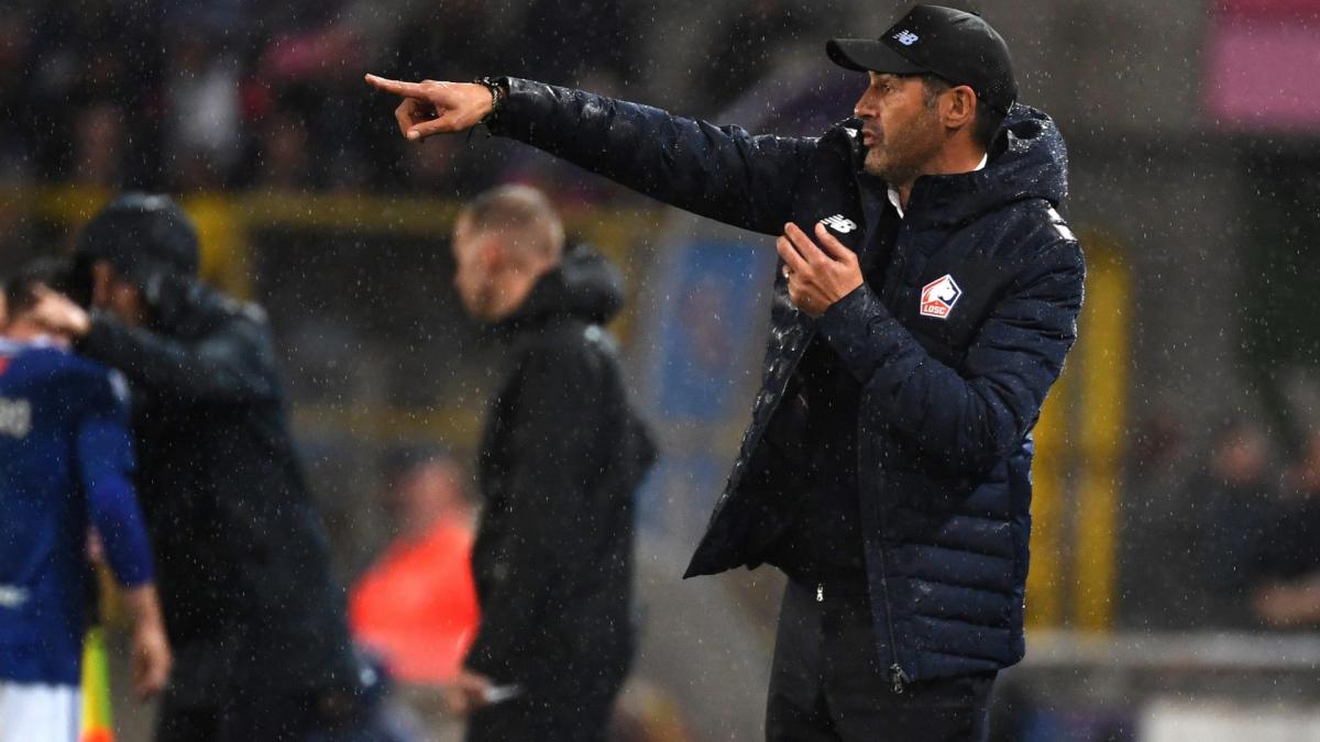 Letzte Transfernews Lille