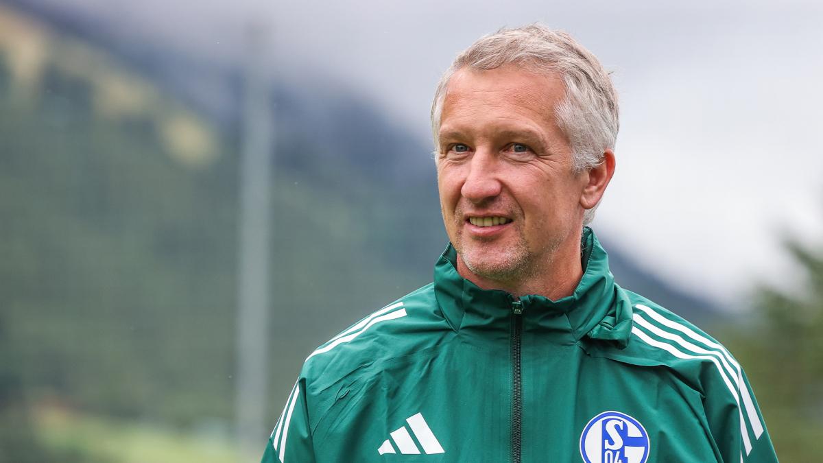 Transfer-News