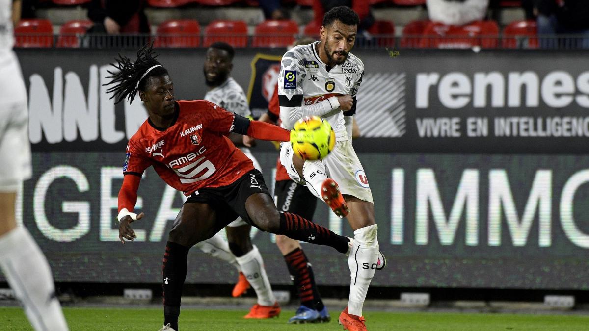 Letzte Transfernews Angers
