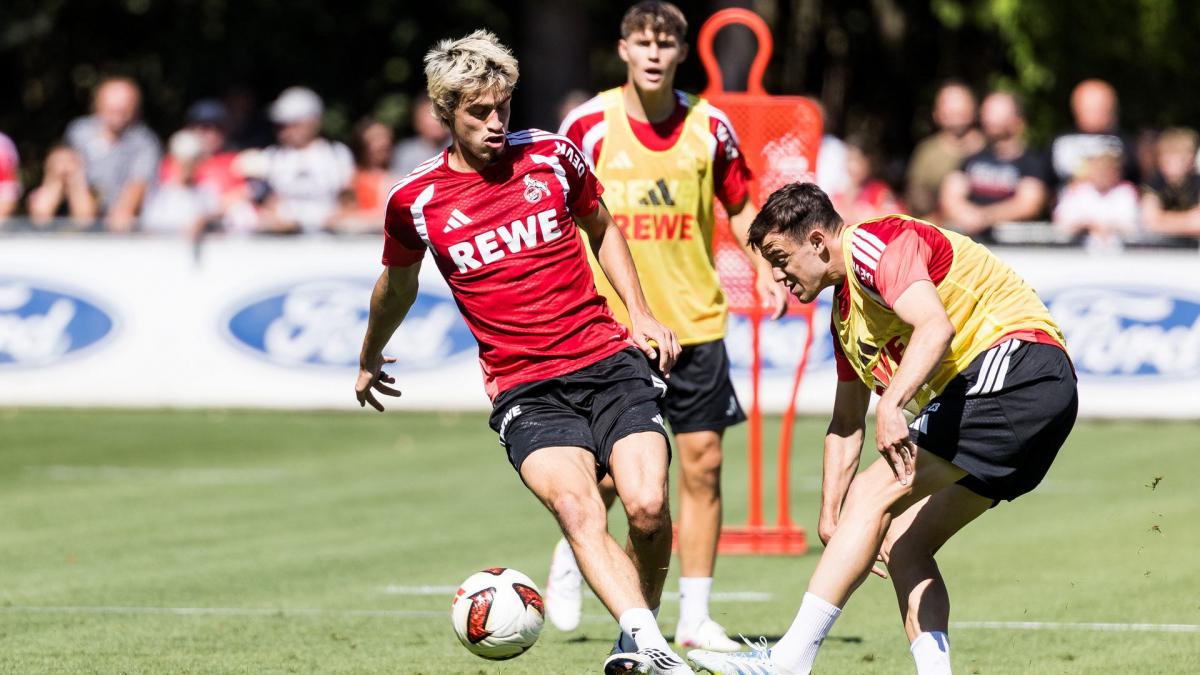 Transfer-News