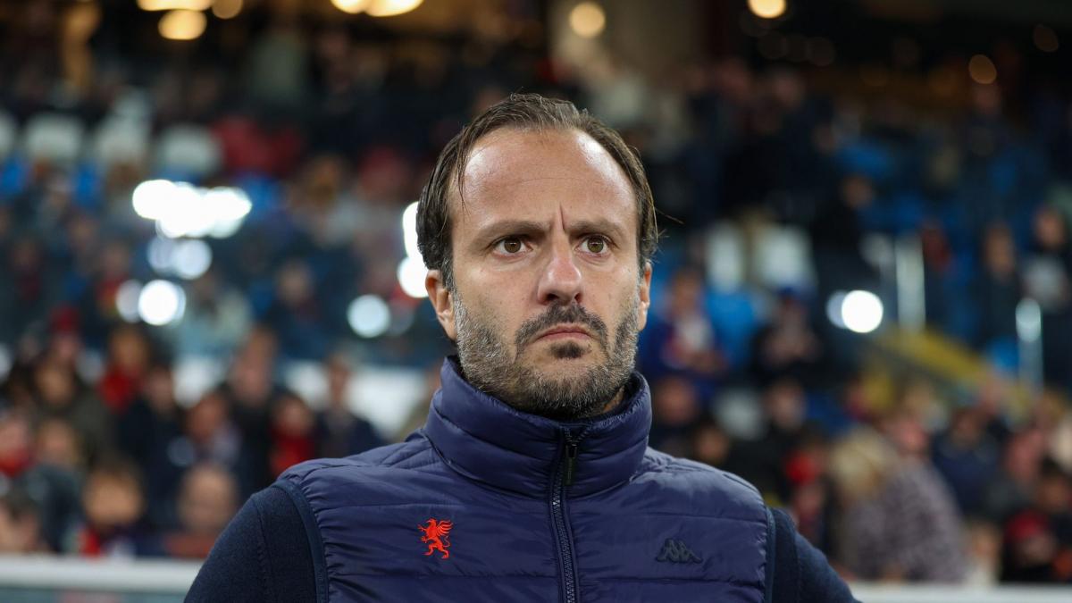 Transfer-News