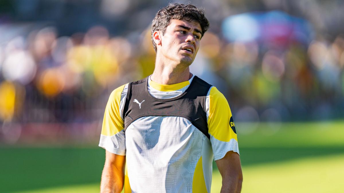 Transfer-News Borussia Dortmund