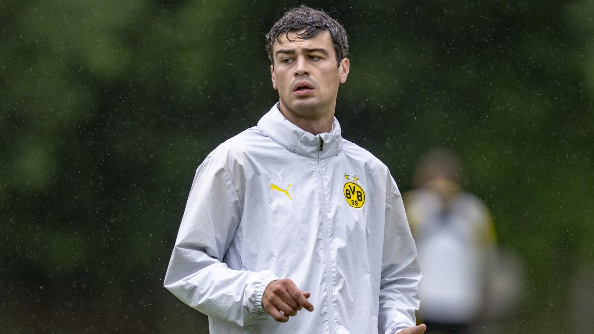Transfer-News Borussia Dortmund