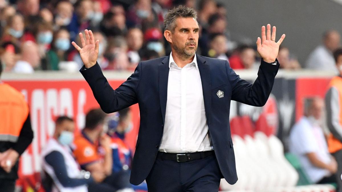Letzte Transfernews Lille