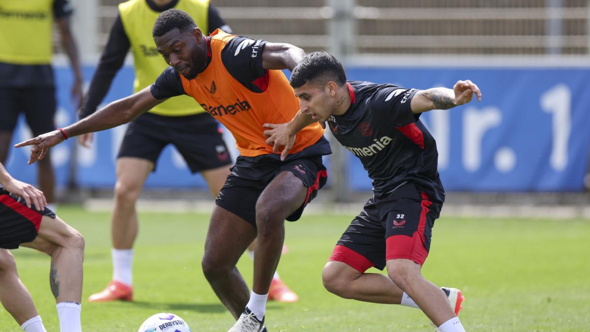 Transfer-News