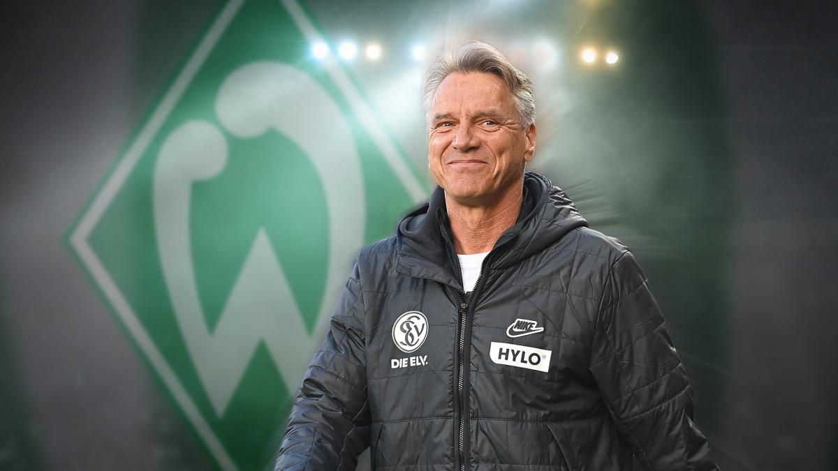 Letzte Transfernews SV Werder Bremen