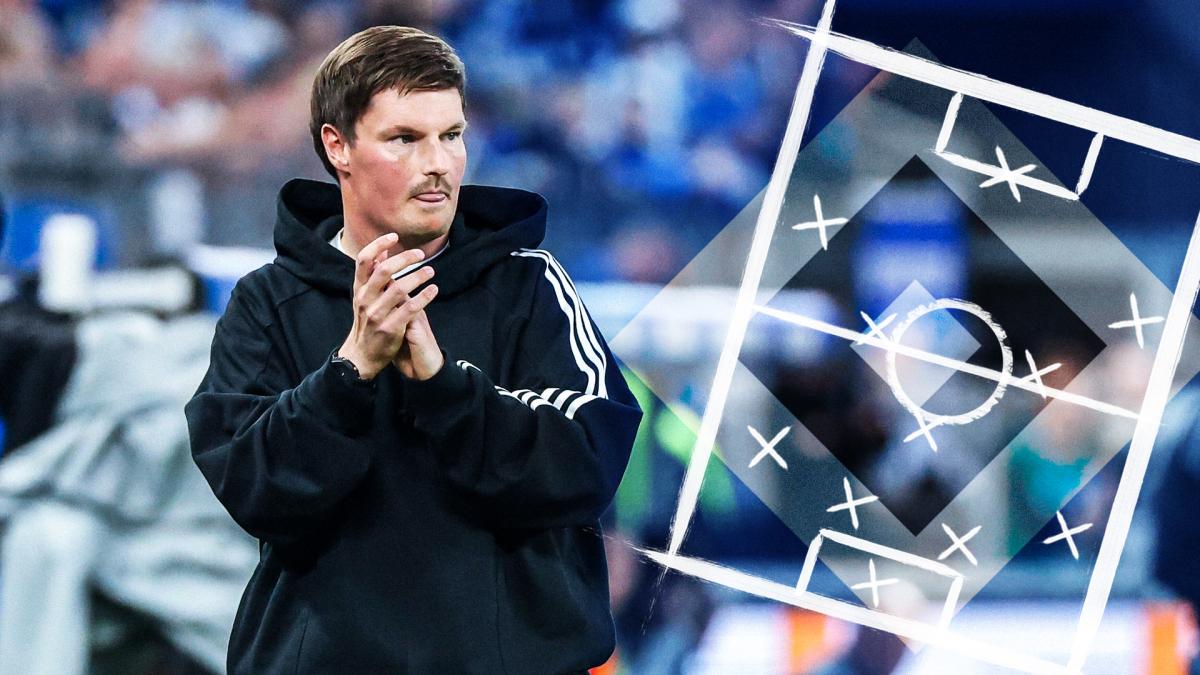 Aufstieg fix: Das sind die Baustellen des HSV