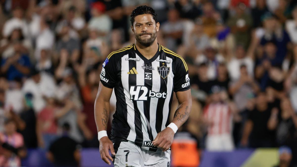 Transfer-News