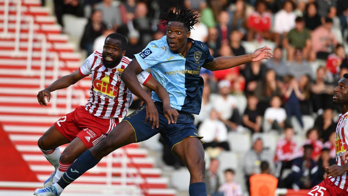 Letzte Transfernews Le Havre