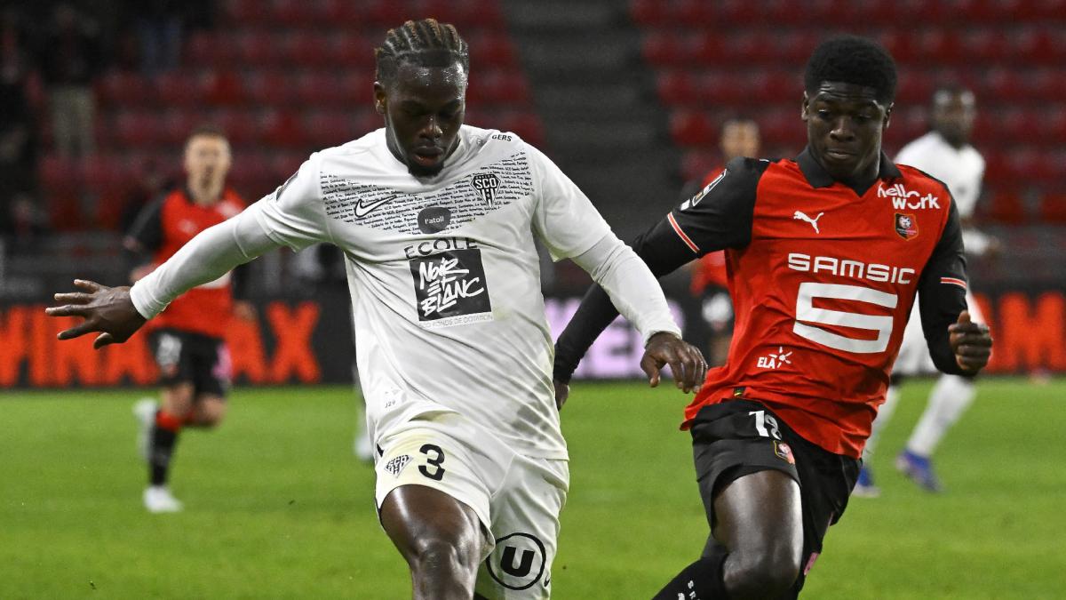 Transfer-News
