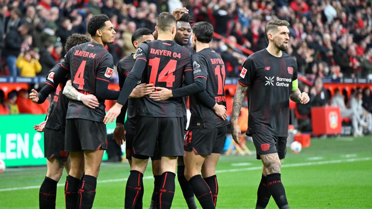 Transfer-News Bayer 04 Leverkusen