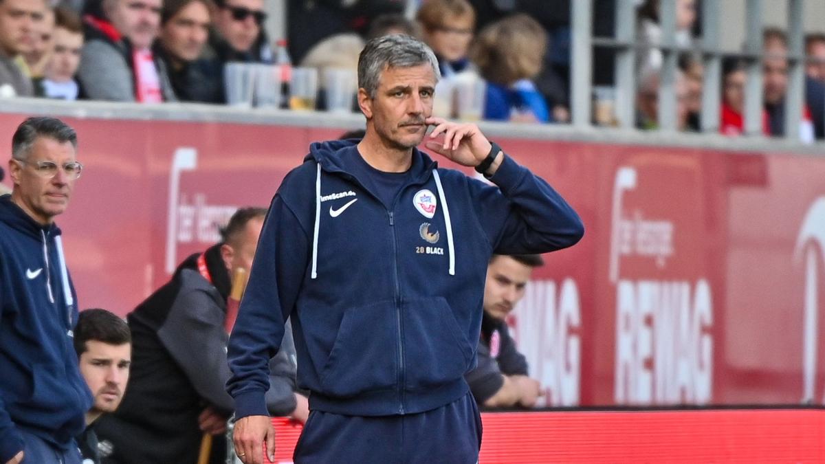 Letzte Transfernews Sandhausen