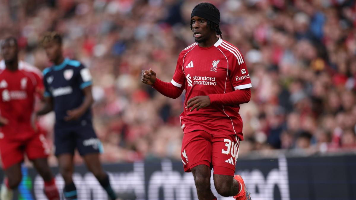 Transfer-News