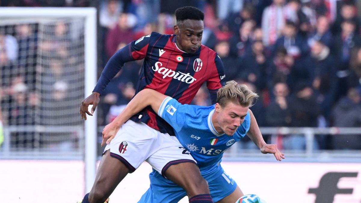 Transfer-News
