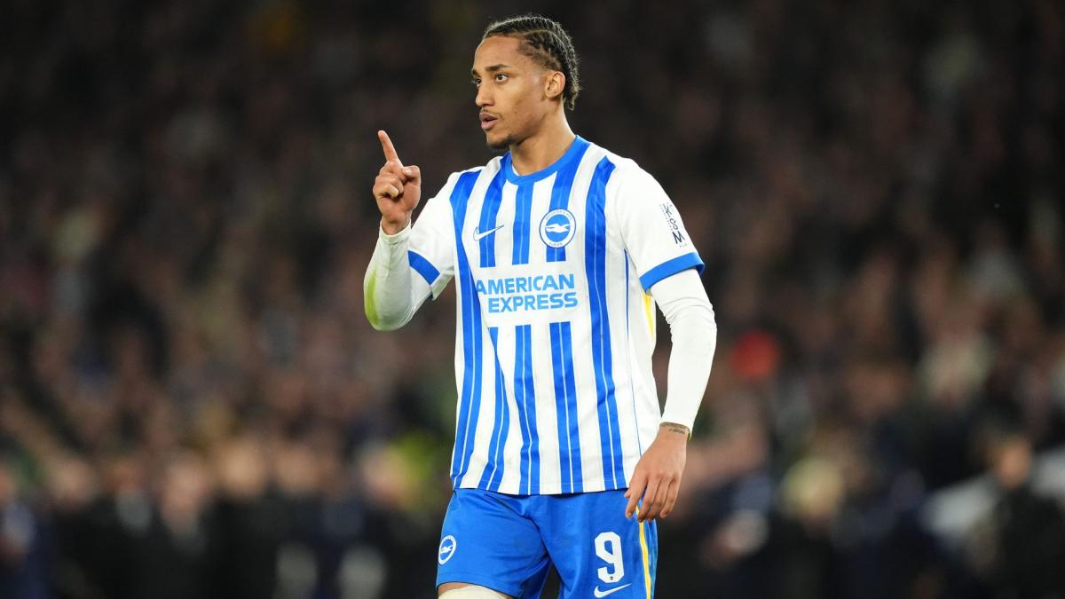 Transfer-News