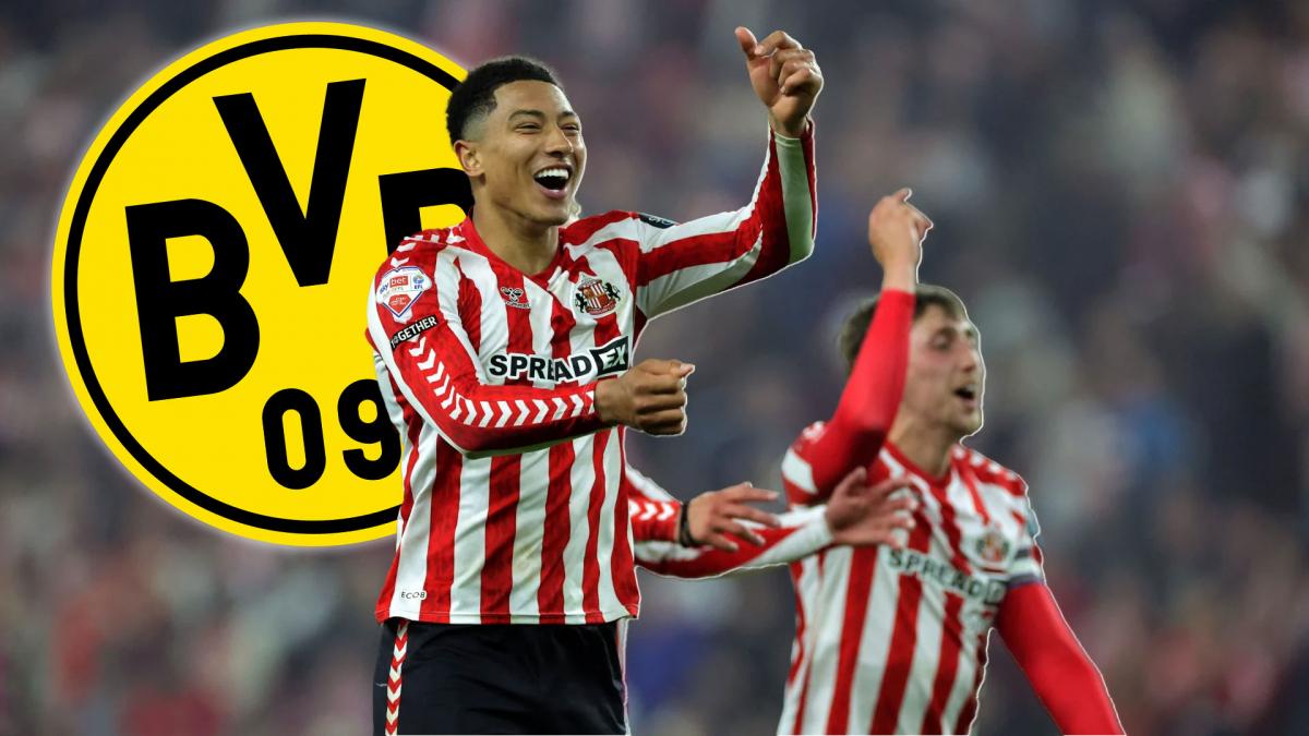 Transfer-News