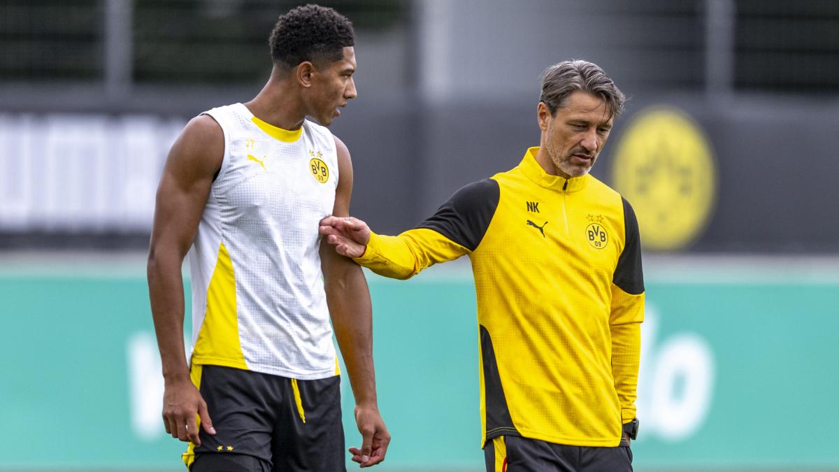 Transfer-News Borussia Dortmund