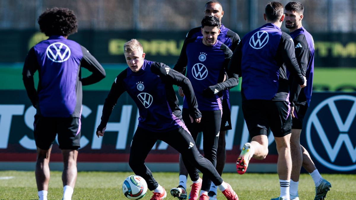 Transfer-News