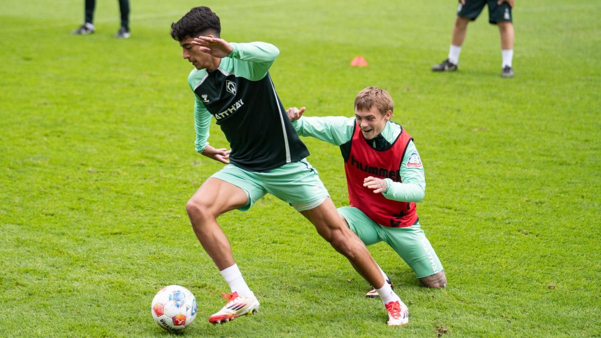 Letzte Transfernews SV Werder Bremen