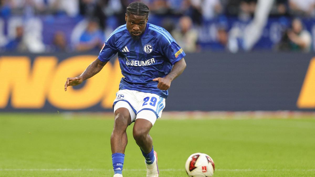 Transfer-News