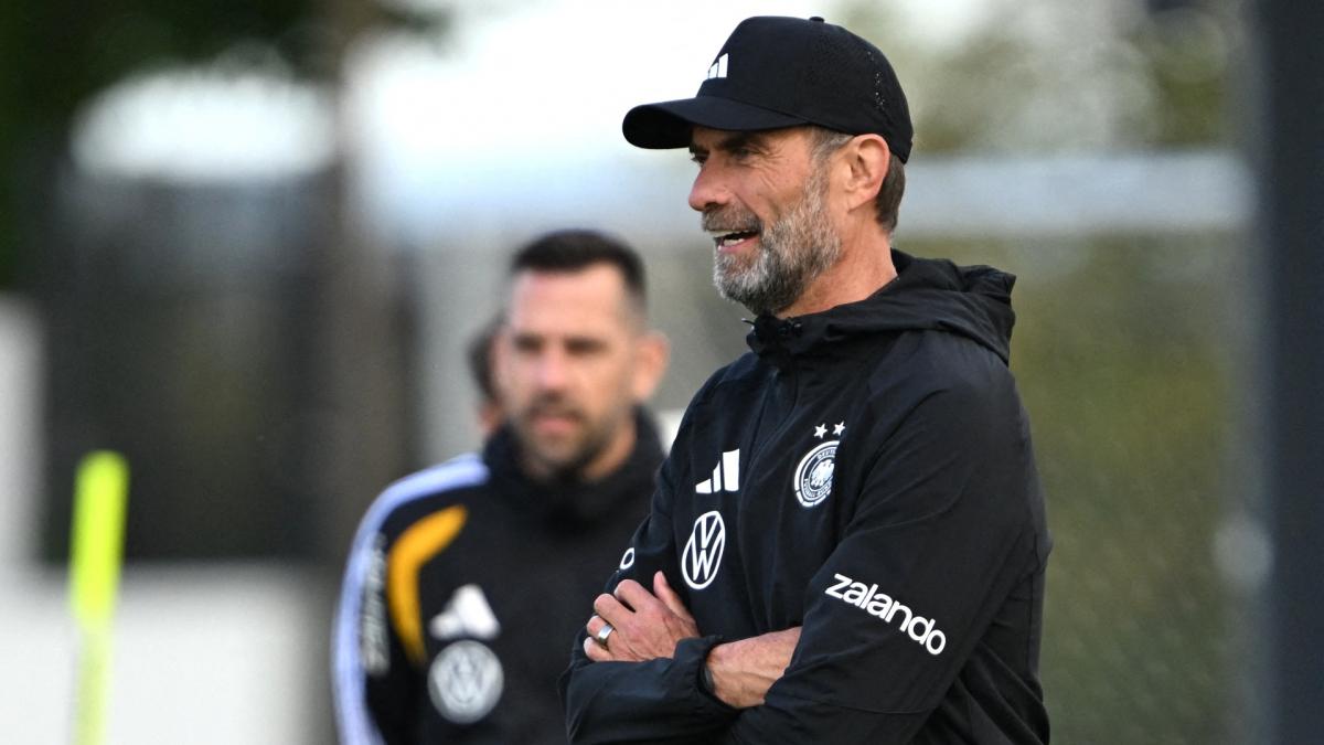 Transfer-News