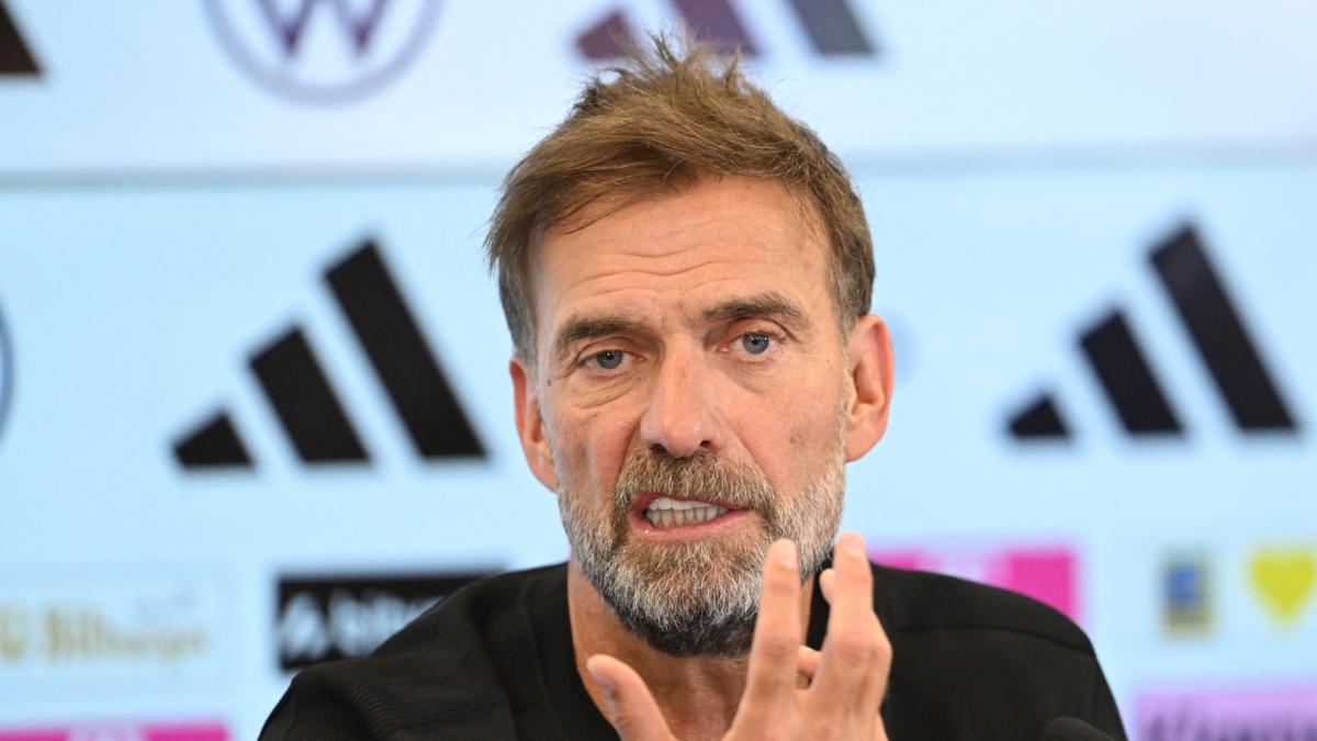 Transfer-News Stuttgart
