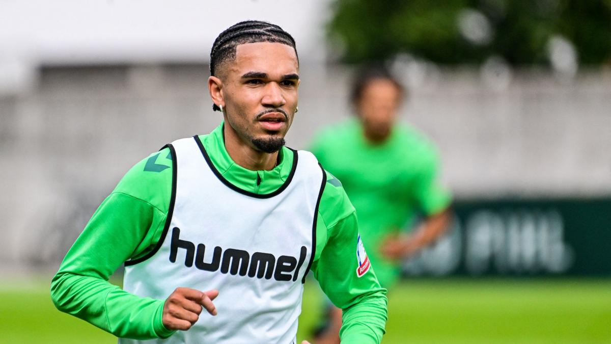 Transfer-News