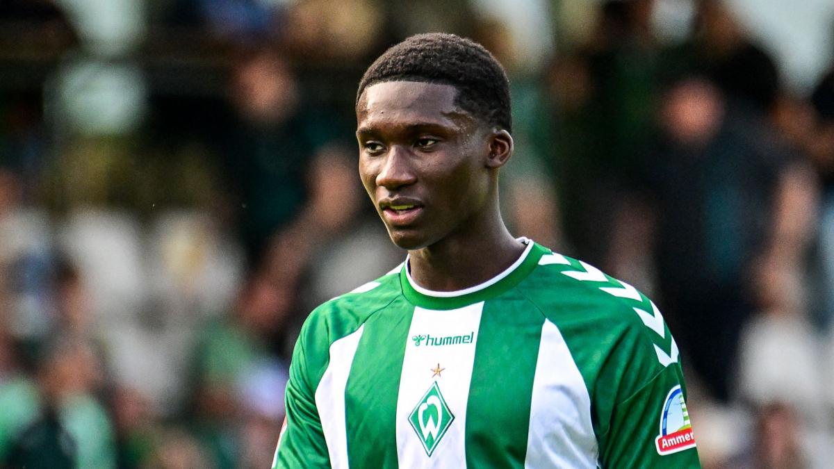 Transfer-News