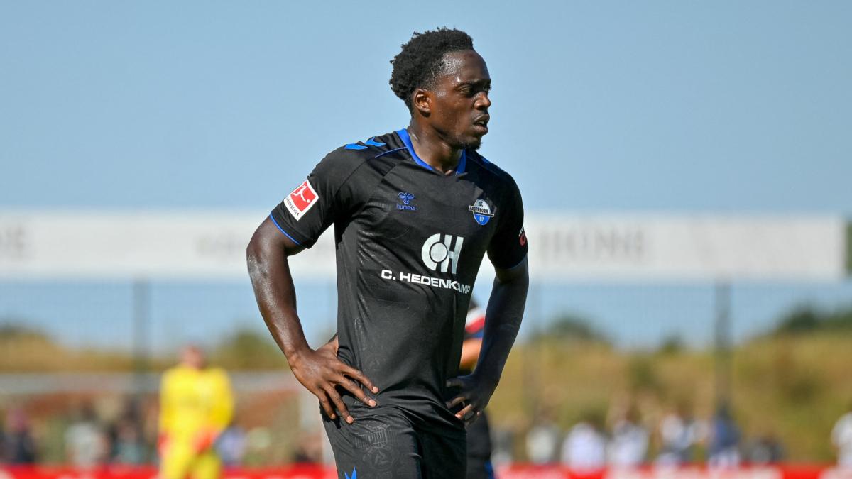 Transfer-News