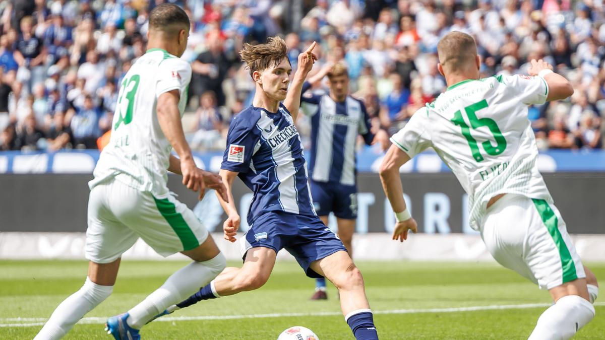 Transfer-News