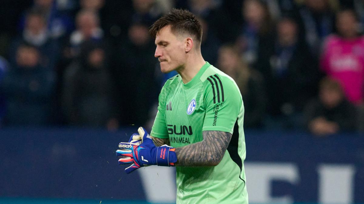 Transfer-News FC Schalke 04