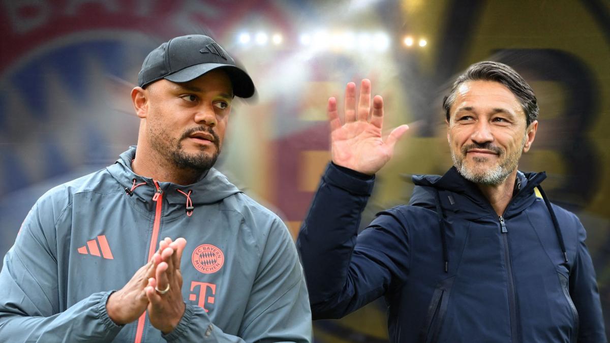 Transfer-News Borussia Dortmund