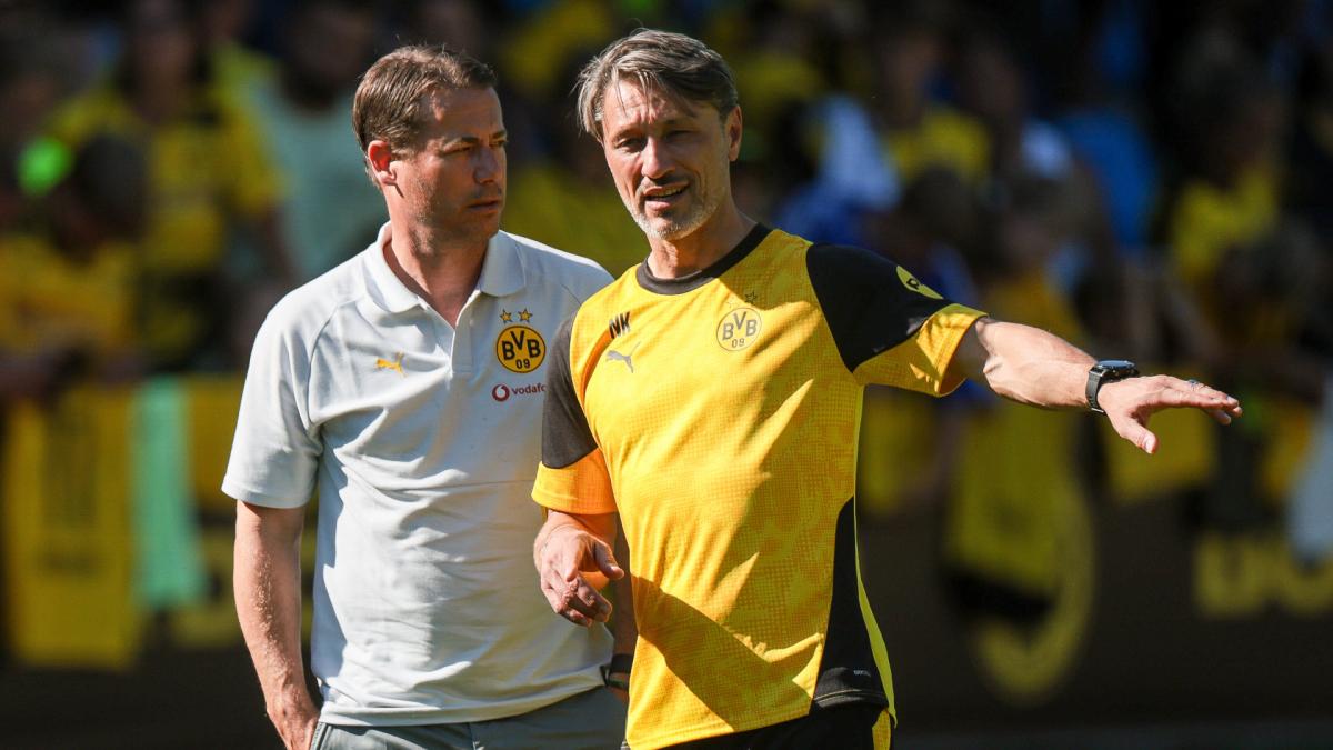 Transfer-News Borussia Dortmund